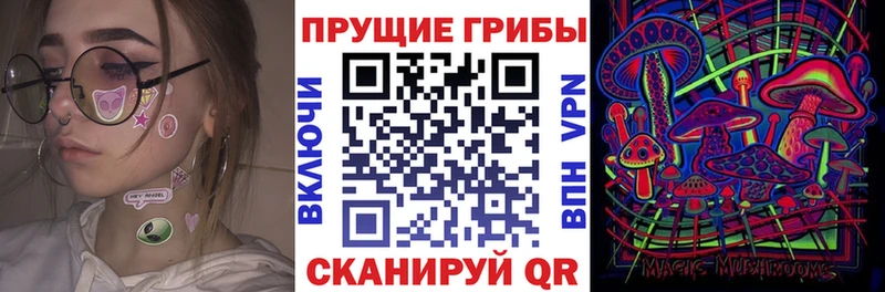 дарк нет наркотические препараты  магазин    Кунгур  Псилоцибиновые грибы Psilocybine cubensis 